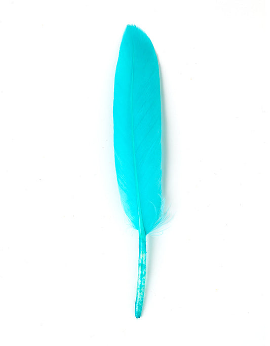 Hajékszer színes toll hajdísz baby blue AFROline (1db)-0