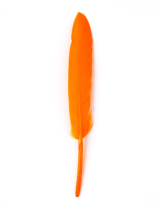 Hair product colored feather hair ornament orange AFROline (1pc)-0